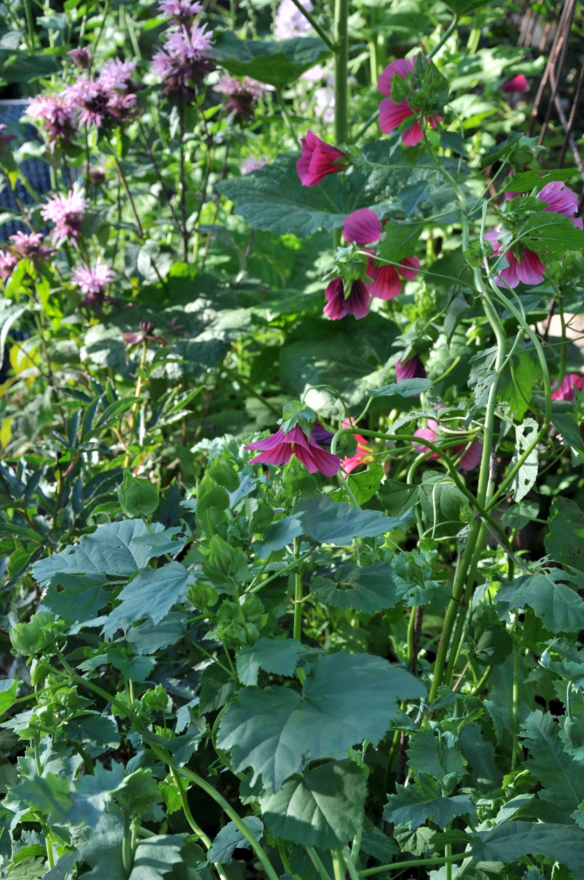 20100803-0049